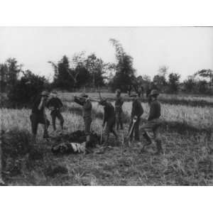 1899 Philippine American War American soldiers burying dead insurgent 