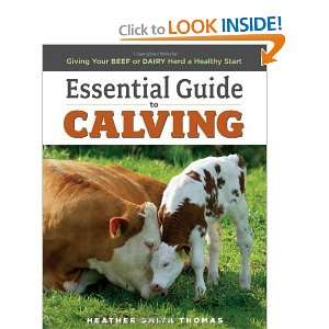  Essential Guide to Calving Giving Your Beef or Dairy Herd 