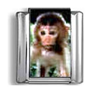  Baby Monkey Italian charm Jewelry