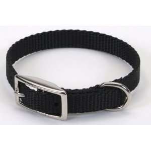  Coastal Dog Collar Small   12 in. Black with a Width of 3 