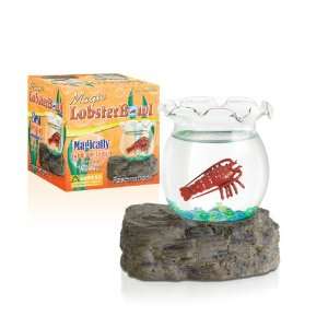 Fascinations Magic Lobster Bowl Toys & Games