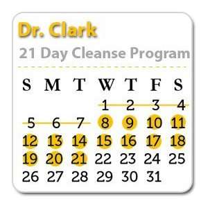  21 Day Cleanse Program 8 21