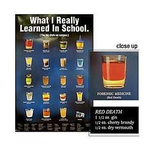  What I Really Learned In School Poster