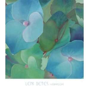  Leni Betes   Hydrangeas