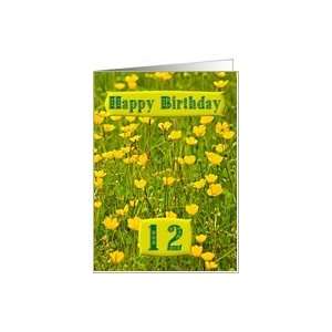  Wildflower meadowcard for a 12 year old Card Toys & Games