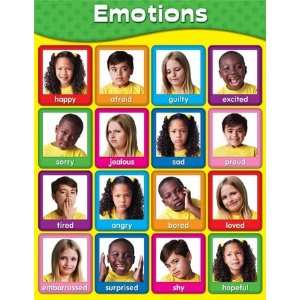  Emotions Laminated Chartlet