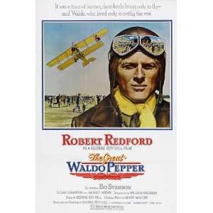  Great Waldo Pepper Movie Poster (11 x 17 Inches   28cm x 44cm) (1975 