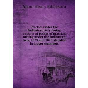   and 1875, decided in judges chambers Adam Henry Bittleston Books