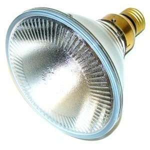     45PAR38/SP/120V   45 Watt PAR38 Spot Light Bulb