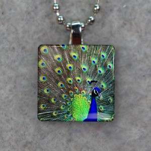 Peacock Small Glass Tile Necklace Pendant 542  