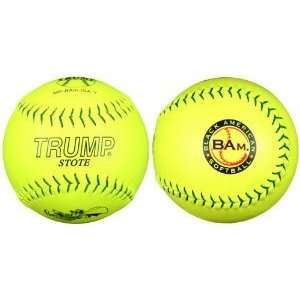   Yellow Leather Softball with Black American Softball Logo Sports