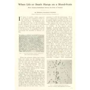  1906 Scientific Detective Work Blood Stain Analysis 