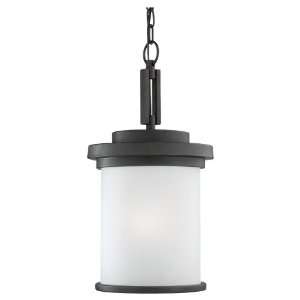  Seagull Outdoor SG 60660 185 One Light Outdoor Pendant 