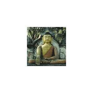  Buddhism (DVD Video) 