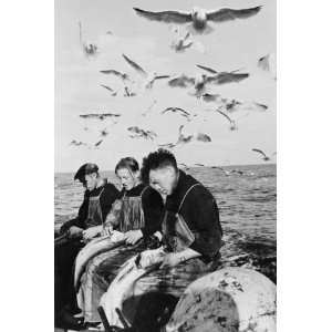  1941 TITLE Seagulls hovering hopefully as the Norwegian 