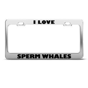  I Love Sperm Whales Whale Animal Metal License Plate Frame 