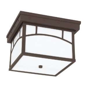 Sea Gull Lighting 78230 833 Ashville 2 Light Outdoor Ceiling Fans in 