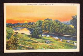 1940s Linen Cow Cows Sunset Greetings Cranberry Lake NY  