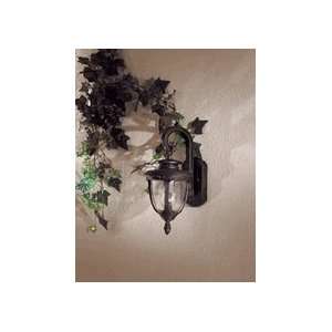  Outdoor Wall Sconces The Great Outdoors GO 8951