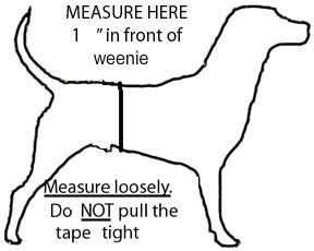 yardstick for your measurement measure comfortably loose with dog 