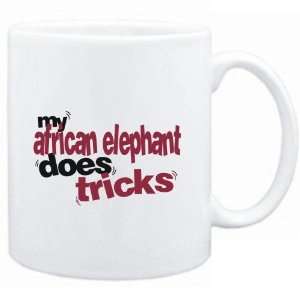   White  My African Elephant does tricks  Animals