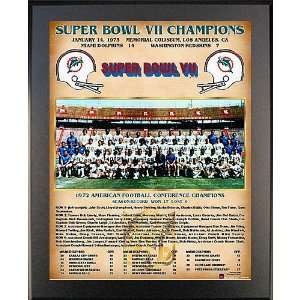  Healy Miami Dolphins Super Bowl Vii Champions 11X13 Team 
