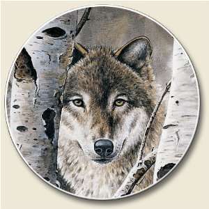 Grey Wolf Wolves Absorbent Stone Auto Coaster Car Nu  