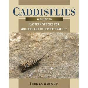  Orvis Caddisflies