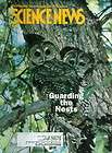 1996 science news the mexican spotted owl guarding the nest