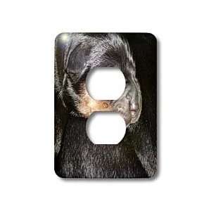   Puppy   Light Switch Covers   2 plug outlet cover