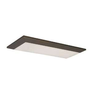   Fluorescent AELF432RBMV Aeon 4 Light Flush Mount in Oil Rubbed Bronze