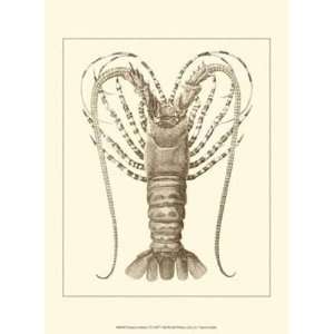 Sepia Lobster I by Unknown 10x13 