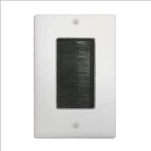  Wall Plate with Black Whisker Electronics