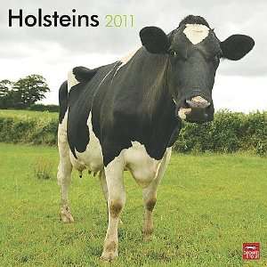  Holsteins 2011 Wall Calendar