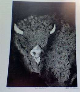 Original Signed Etching Edition of 15 BUFFALO new condition  
