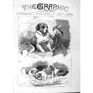  1882 ST. BERNARD CLUB DOG SHOW ANIMALS PETS FINE ART