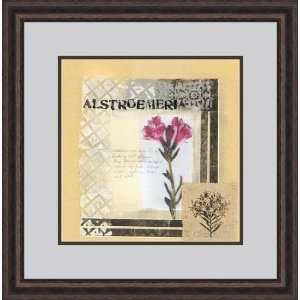  Alstroemeria by Leslie/Connie Bernsen/Tunick   Framed 