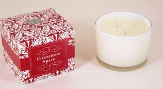 13 oz Cinnamon Spice Scented 3 Wick Soy Candle by Paddywax Flora 