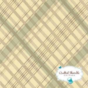  Urban Cowgirl   Plaid in Turquoise (31083 12) Kitchen 