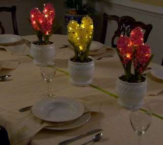 BethlehemLights BatteryOperated 16 Potted Hyacinth with Timer