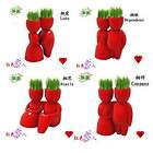 RED LOVE Grass Doll Magic Grass Plant P