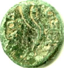 DS Laodiceia,Phrygia, AE18, Aphrodite Hd/Double Cornucopia, Pat  