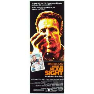  Hide in Plain Sight Poster Movie Insert (14 x 36 Inches 