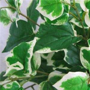 Silk HOLLAND IVY PLANT Artificial Bush Wedding Decor  
