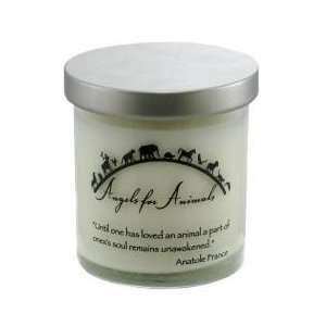 Heaven to Home Angels for Animals Soy Memorial Candle (Healing Rain 