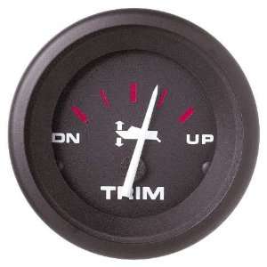  AMEGA Trim Gauges