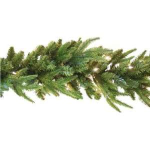  Asheville Frasier Fir Garland   9 Length   Clear Lights 