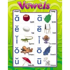  CHART VOWELS Toys & Games
