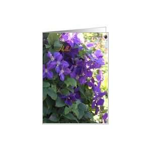  Hello Climbing Clematis Vine with Sunlight Card Health 