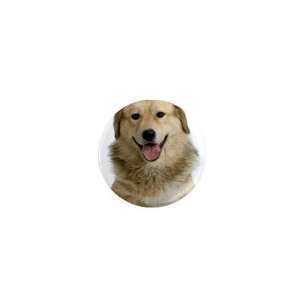  Anatolian Shepherd 1in Button C0018 